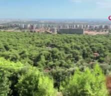 Antalya'da korkutan orman yangını! &Ccedil;ok sayıda ekip sevk edildi!