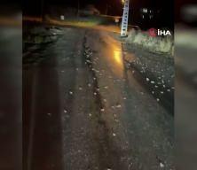 Bing&ouml;l'de y&uuml;zlerce kurbağa kara yoluna &ccedil;ıktı