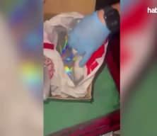 Fatih&rsquo;te operasyon! Deste deste ele ge&ccedil;irildi