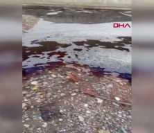 Yalova a&ccedil;ıklarında deniz y&uuml;zeyi kırmızıya boyandı