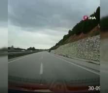 Yola d&uuml;şen geyiğin yardımına koştu