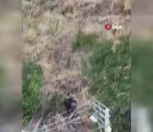 Alzaymır hastası teyzeyi sırtında taşıdı! Bakan &Ccedil;ift&ccedil;i'den kahraman polise tebrik