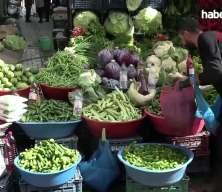  Araban Ovası'nda turşuluk acura yoğun talep