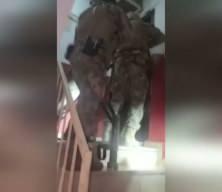 "Arap Emrah" su&ccedil; &ouml;rg&uuml;t&uuml;ne y&ouml;nelik 8 ilde operasyon: 34 g&ouml;zaltı