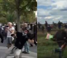 Fransa'daki eylemlerde polise &ccedil;elme takan fotoğraf&ccedil;ı o utan&ccedil; anını hatırlattı