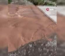 Kocaeli'de k&ouml;p&uuml;ren derenin gizemi &ccedil;&ouml;z&uuml;lemedi! İddialar korkun&ccedil;