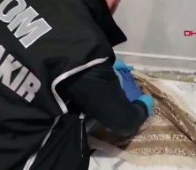 58 ilde yeni nesil su&ccedil; &ouml;rg&uuml;tlerine y&ouml;nelik dev operasyon: 348 g&ouml;zaltı