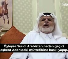 Katarlı Prof. Dr. Ali Al-Hail'den Suudi Arabistan'a Ter&ouml;rs&uuml;z T&uuml;rkiye modeli &ccedil;ağrısı