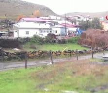 G&uuml;peg&uuml;nd&uuml;z dehşete d&uuml;ş&uuml;ren g&ouml;r&uuml;nt&uuml;: Bozayı k&ouml;y&uuml;n i&ccedil;ine kadar indi