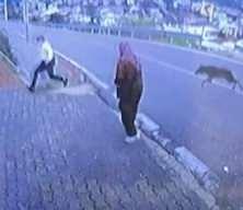 Bursa'da k&ouml;pekten ka&ccedil;arken y&uuml;ksekten atlayan &ccedil;ocuğun bacağı kırıldı