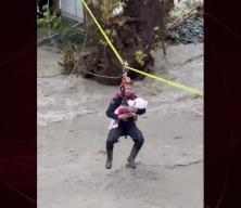 Sakarya'da Jandarma'nın y&uuml;rekleri ısıtan g&ouml;r&uuml;nt&uuml;s&uuml;ne Bakan Mustafa &Ccedil;ift&ccedil;i'den tebrik mesajı