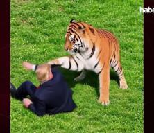 İngiltere'deki vahşeti paylaşıp dalga ge&ccedil;ti: Trump'tan tepki &ccedil;eken kaplan videosu