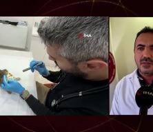 Tokat&rsquo;ta mide bulantısı ve kusma salgını hayvanlarda da g&ouml;r&uuml;ld&uuml;