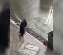Yalova'da alkışlanacak mazgal temizliği: Helal olsun teyze!