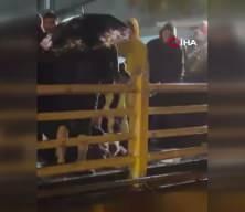 Yalova'da sağanak! Yağmurun durması i&ccedil;in kurban kestiler 