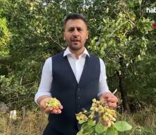 Dağlardan servet fışkırdı: Unutulan alanda paraya para demiyorlar