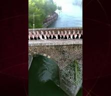 Diyarbakır'da hafızlık eğitimini bitiren 24 kız &ouml;ğrenci icazet aldı