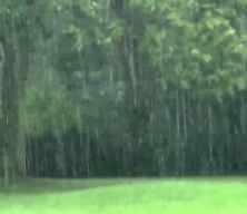 Meteoroloji'den 4 il i&ccedil;in kuvvetli yağış uyarısı! Sel ve su baskını riski