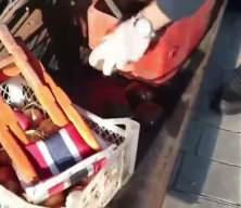 Tarihi eser ka&ccedil;ak&ccedil;ılarına dev darbe! İki TIR&rsquo;da tam 6 bin 910 sikke yakalandı!