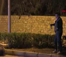 Aydın'da tehlikeli anlar! Yaban domuzunu kementle yakalamaya &ccedil;alıştı