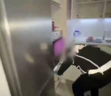 Bel&ccedil;ika'nın aradığı uyuşturucu baronu İstanbul'da yakalandı! 2 ton kokain detayı