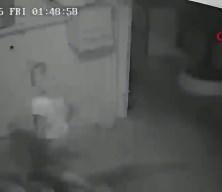 G&uuml;ll&uuml;'n&uuml;n kızı Tuğyan &Uuml;lkem G&uuml;lter'e yeni soruşturma