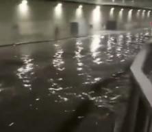 Megakentte yağmur kabusu! Sular alt ge&ccedil;idi bastı, ara&ccedil;lar mahsur kaldı!