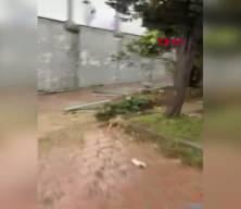 Sultangazi'de 2 araca &ccedil;arpan kamyon bah&ccedil;eye d&uuml;şt&uuml;