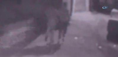 Suriyeli aileyi bı&ccedil;ak zoruyla gasp ettiler