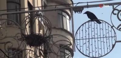 Taksim İstiklal Caddesi&rsquo;nin g&ouml;beğindeki ilgin&ccedil; kuş yuvası