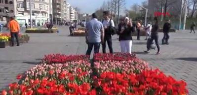  Taksim Meydanı'na binlerce lale dikildi