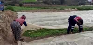 Tarlada &ccedil;alışan kadına jandarma yardım etti