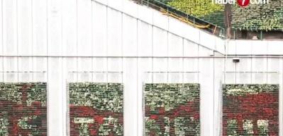 Tepki toplayan dev grafitiler havadan g&ouml;r&uuml;nt&uuml;lendi!