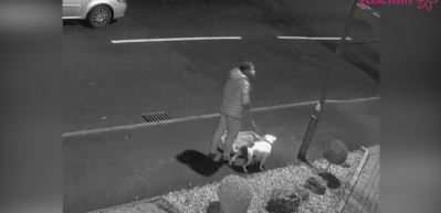 Terk edilen k&ouml;peğin &ccedil;aresiz anları