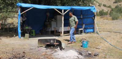 Terk edilen yaylada tek başına yaşıyor