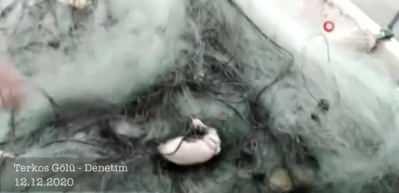 Terkos Gölü’nde yasadışı balıkçılık denetiminde 2 ton balık yakalandı