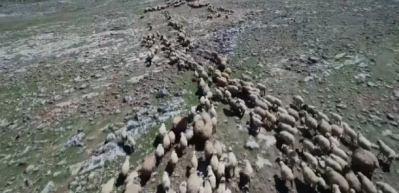 Ter&ouml;r bitti 'G&ouml;&ccedil;erler' mutlu
