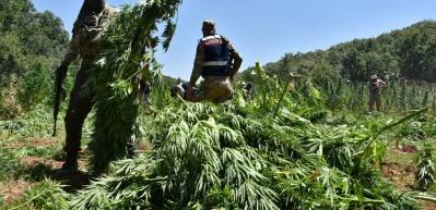 Ter&ouml;r &ouml;rg&uuml;t&uuml; PKK'nın finans kaynağına darbe!