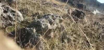 Ter&ouml;r &ouml;rg&uuml;t&uuml; PKK'ya ait &ccedil;ok miktarda m&uuml;himmat ele ge&ccedil;irildi