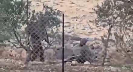 Filistinli yaşlı adama İsrail işkencesi: Bacağım yok!