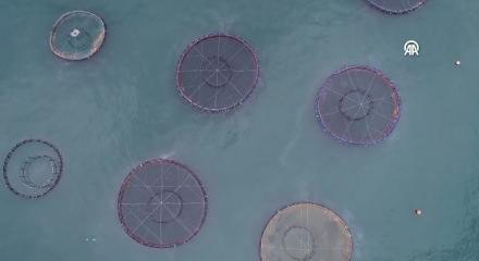 Doğu Karadeniz su &uuml;r&uuml;nleri ihracatında hedefini b&uuml;y&uuml;tmek istiyor