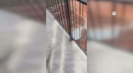 Giresun'da hayvanat bah&ccedil;esinden ka&ccedil;an maymun  balkonda yakalandı