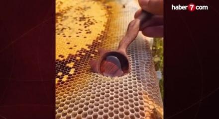 1 KG balın maliyeti üreticiye 325 TL!