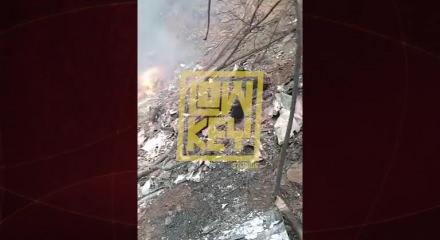 Gana'da 2 bakan helikopter kazasında hayatını kaybetti