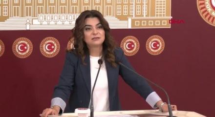 DEM Parti'li Koçyiğit: Tezkerelere 'hayır' oyu vereceğiz