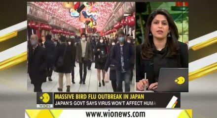 Japonya'da kuş gribi alarmı: Yaklaşık 460 bin tavuk itlaf edilecek