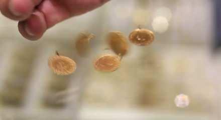 Merkez Bankası altın satın alımını durdurdu