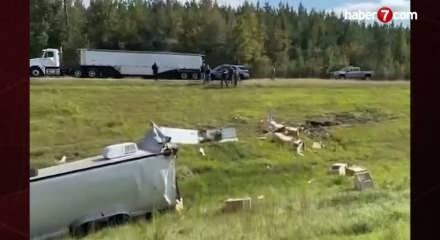 ABD'de tuhaf olay! 'Hastalıklı maymunlar' alarma geçirdi!