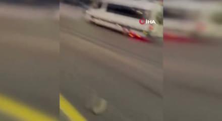 Aydınlatma direğine çarpan motosikletteki iki arkadaş hayatını kaybetti