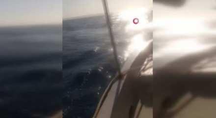 Dev köpekbalığını gören balıkçıdan bomba tepki